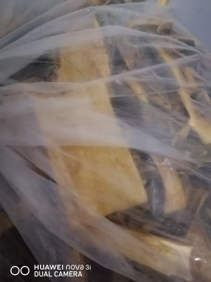 红豆杉绿化树，皮，叶，根都是宝