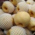 祁县酥梨皮薄胡小汁水饱满皮毛鲜亮果肉细腻