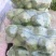 甘蓝大量上市，品质好，价格低。无斑，无虫眼，个头两斤左右