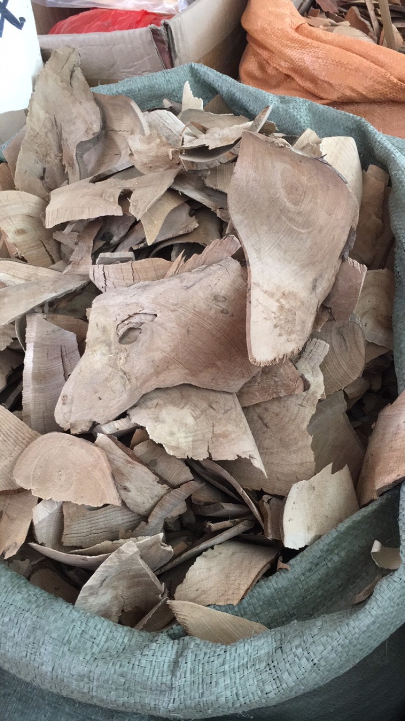 毛冬青根部毛冬青毛冬青药材批发