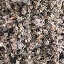 密蒙花密蒙花密蒙花药材批发无硫