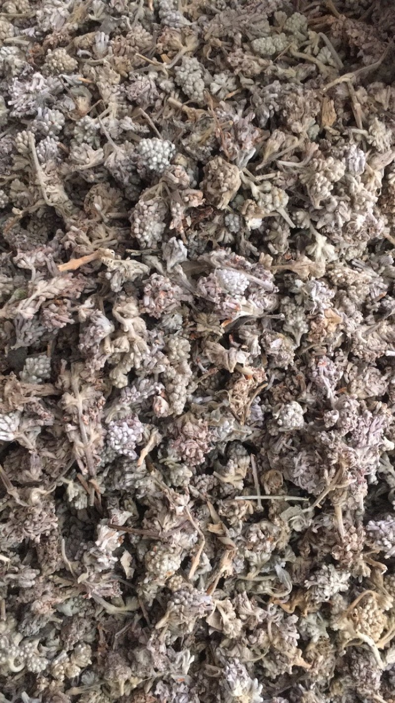 密蒙花密蒙花密蒙花药材批发无硫