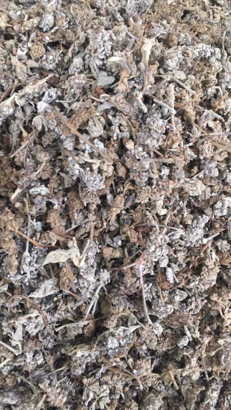 密蒙花密蒙花密蒙花药材批发无硫