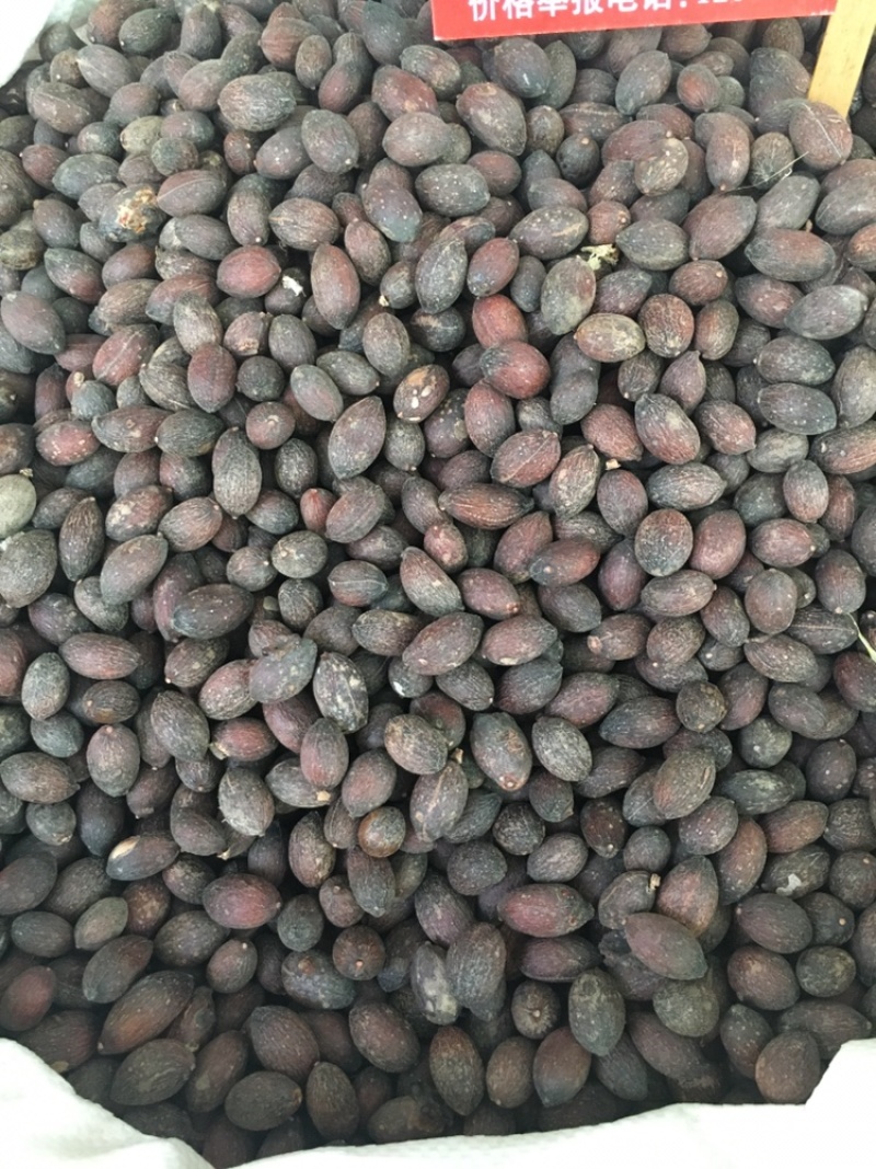 葵扇子葵扇子无硫新货可煲汤蒲葵葵树子中药材各种冷门药材