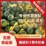 【新人立减】陕西甜王西瓜，质量保证，对接电商平台！