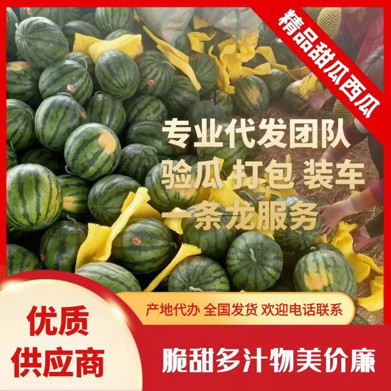 【新人立减】陕西甜王西瓜，质量保证，对接电商平台！