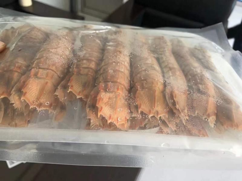 熟冻皮皮虾，厂家直销，资质齐全，证件齐全。