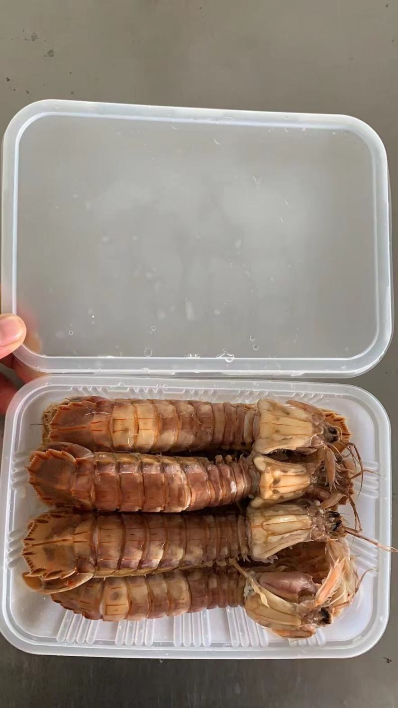熟冻皮皮虾，厂家直销，资质齐全，证件齐全。