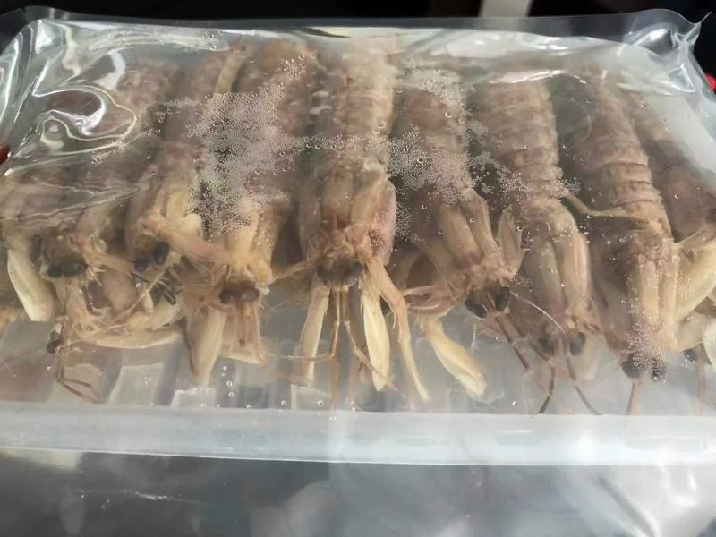 熟冻皮皮虾，厂家直销，资质齐全，证件齐全。