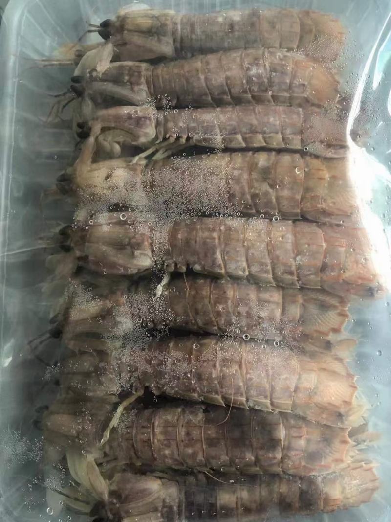 熟冻皮皮虾，厂家直销，资质齐全，证件齐全。