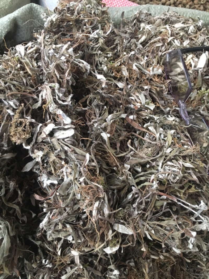 天清地白冷门药材下单可咨询