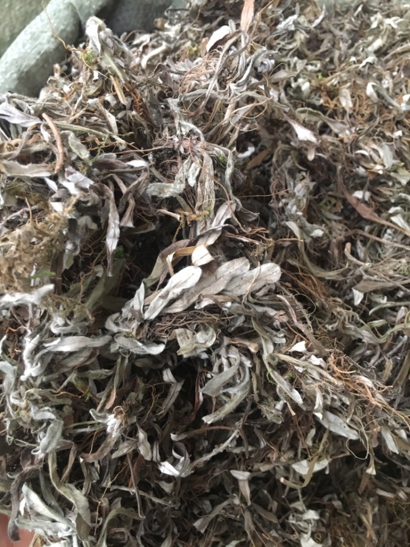 天清地白冷门药材下单可咨询