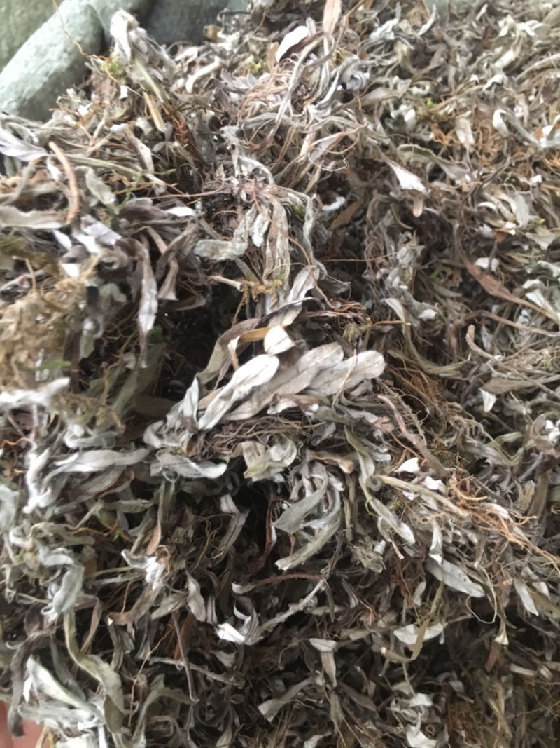 天清地白冷门药材下单可咨询