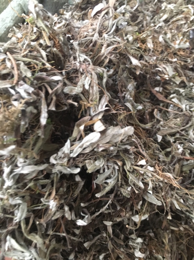 天清地白冷门药材下单可咨询