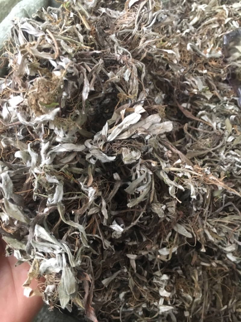 天清地白冷门药材下单可咨询