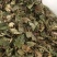 葫芦茶葫芦茶葫芦茶有大货