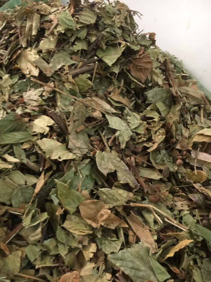 葫芦茶葫芦茶葫芦茶有大货