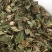 葫芦茶葫芦茶葫芦茶有大货