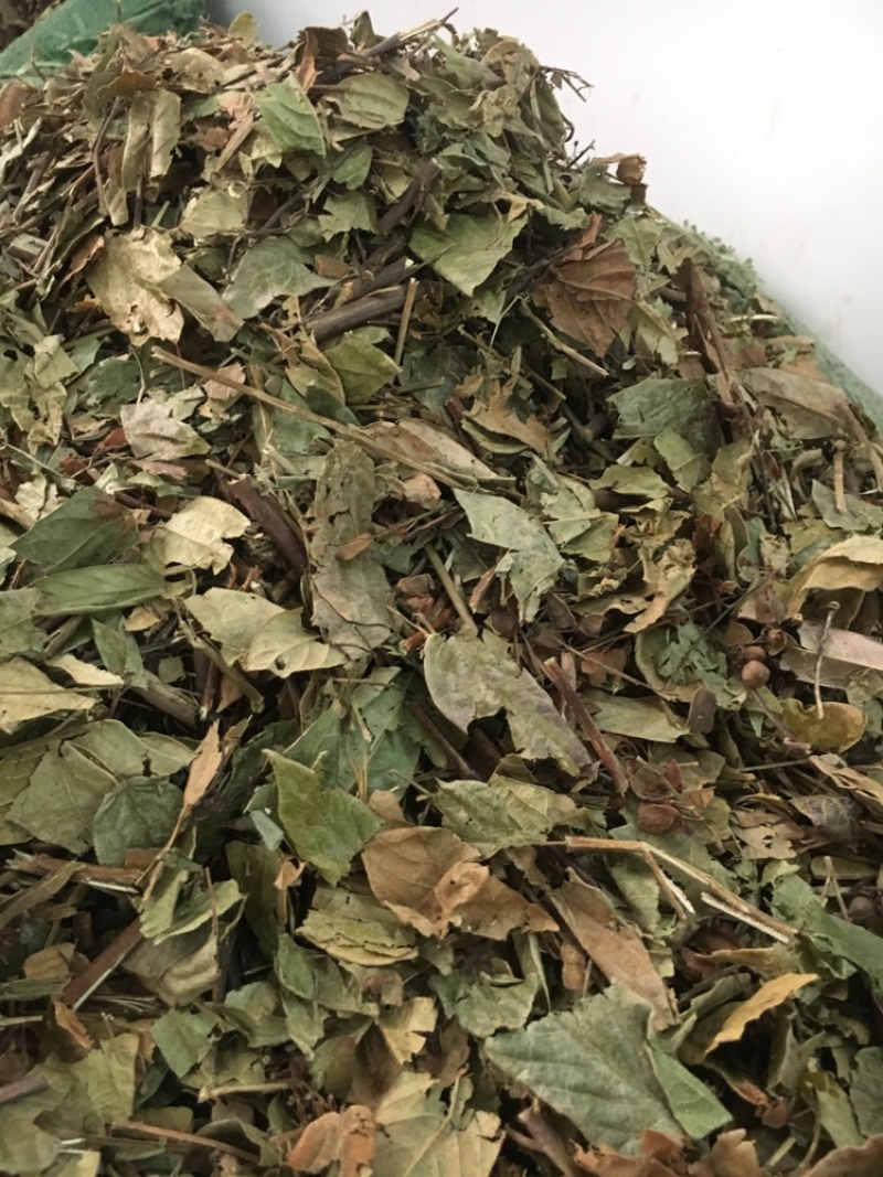 葫芦茶葫芦茶葫芦茶有大货