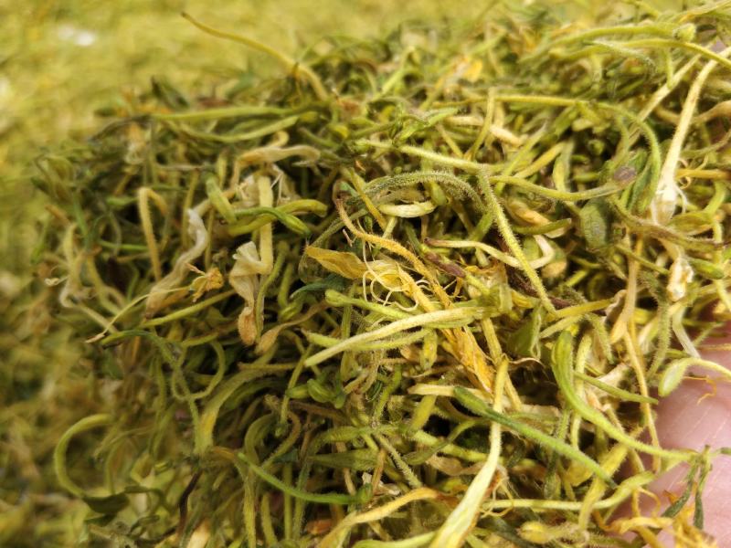 2021中草药材野生金银花，忍冬藤大量现货供应