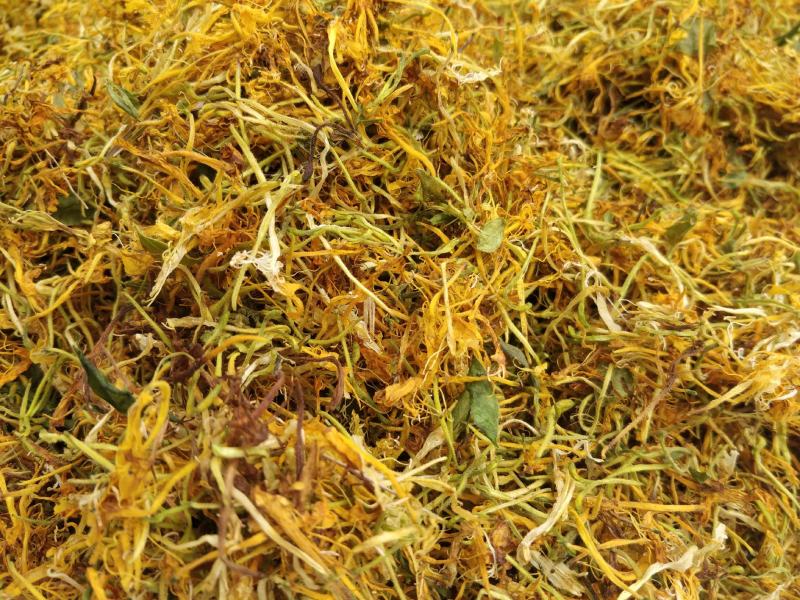 2021中草药材野生金银花，忍冬藤大量现货供应
