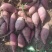 新鲜现挖紫罗兰番薯紫薯零售批发广东茂名直销
