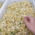 2021中草药材野生金银花，忍冬藤大量现货供应
