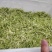 2021中草药材野生金银花，忍冬藤大量现货供应