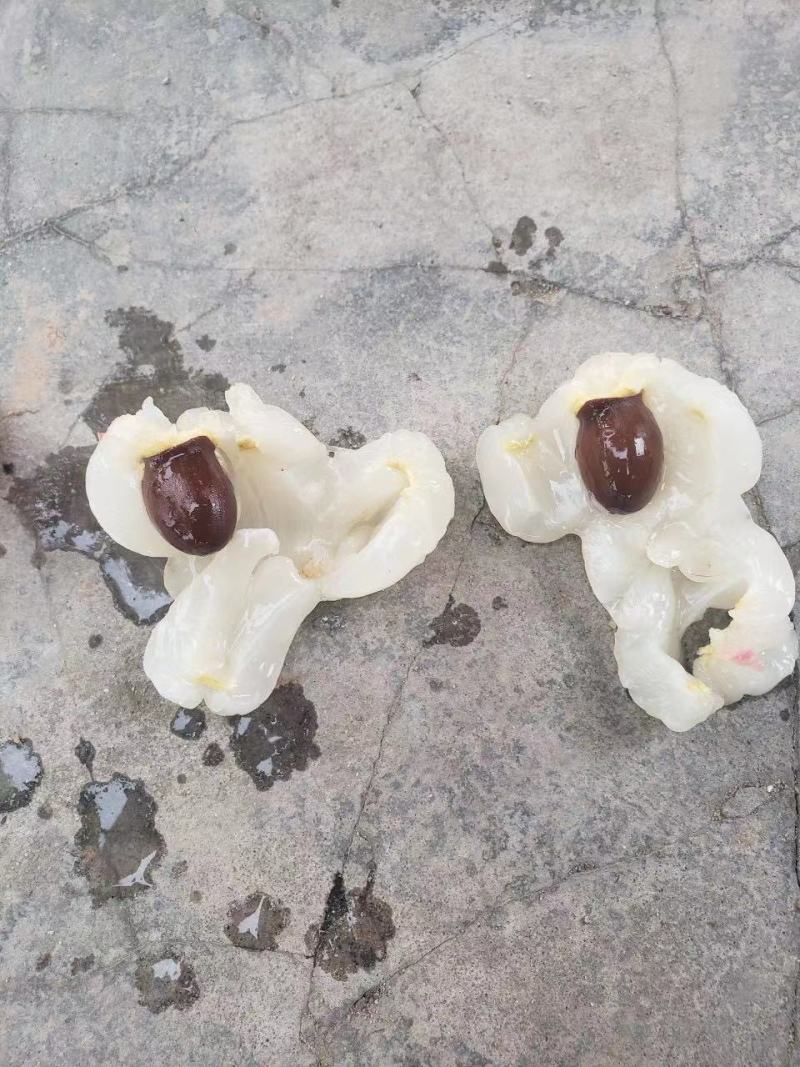 欢迎老板订购