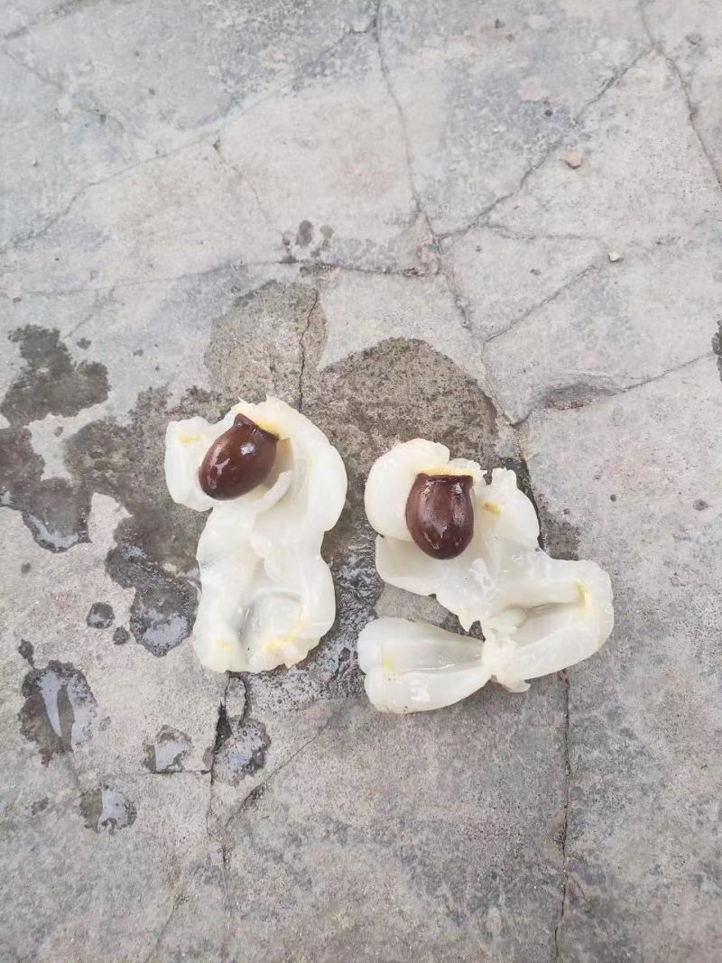 欢迎老板订购