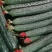 云南省建水县曲江镇精品黄瓜上市。保质保量，诚信经营。