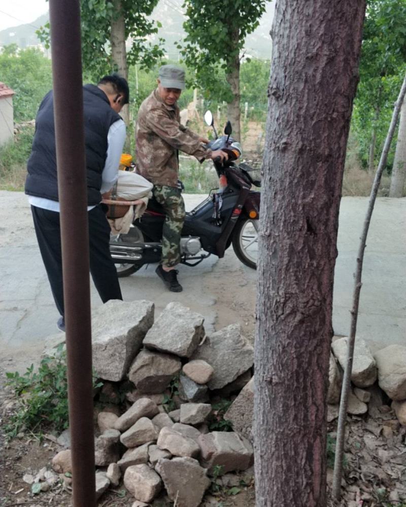 陆地大樱桃