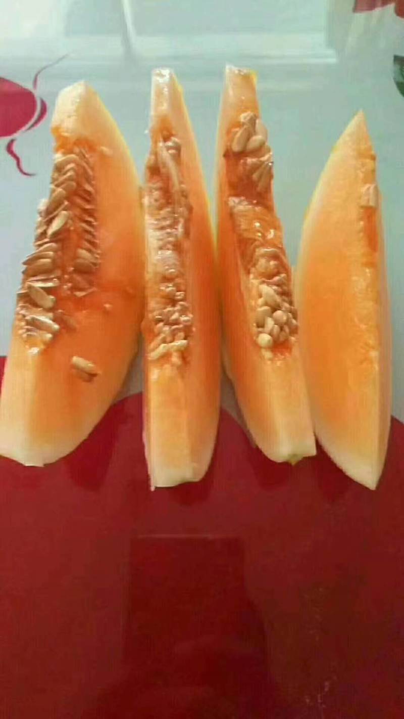 金脆蜜大量有货