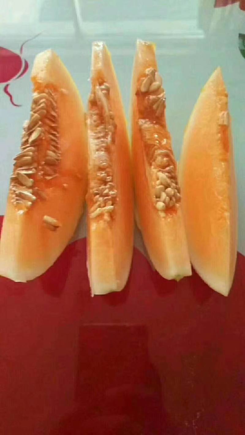 金脆蜜大量有货