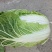 固安精品大白菜