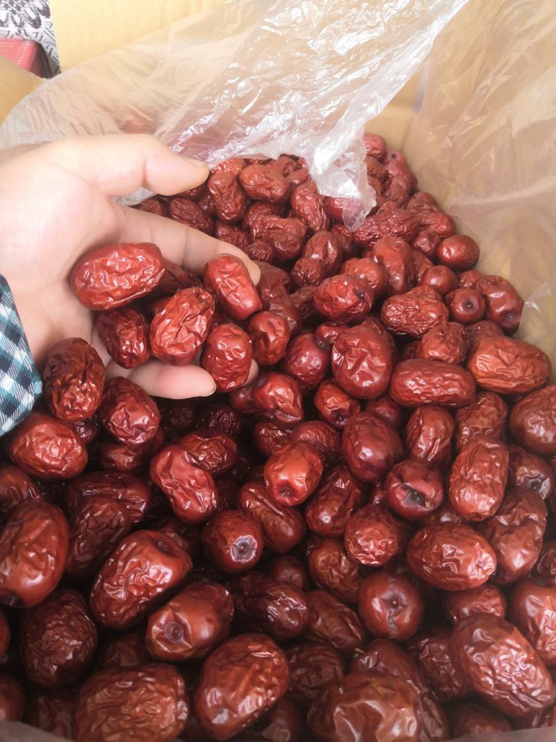 新疆阿克苏地区温宿县原产生地灰枣，特级大小均称。
