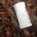 龙虾青虾