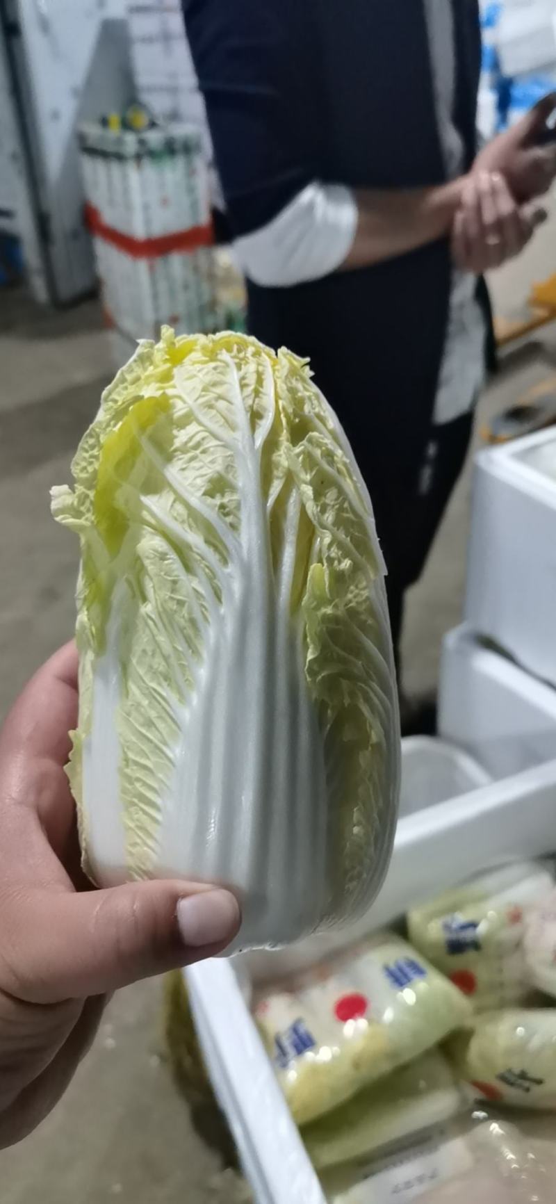娃娃菜