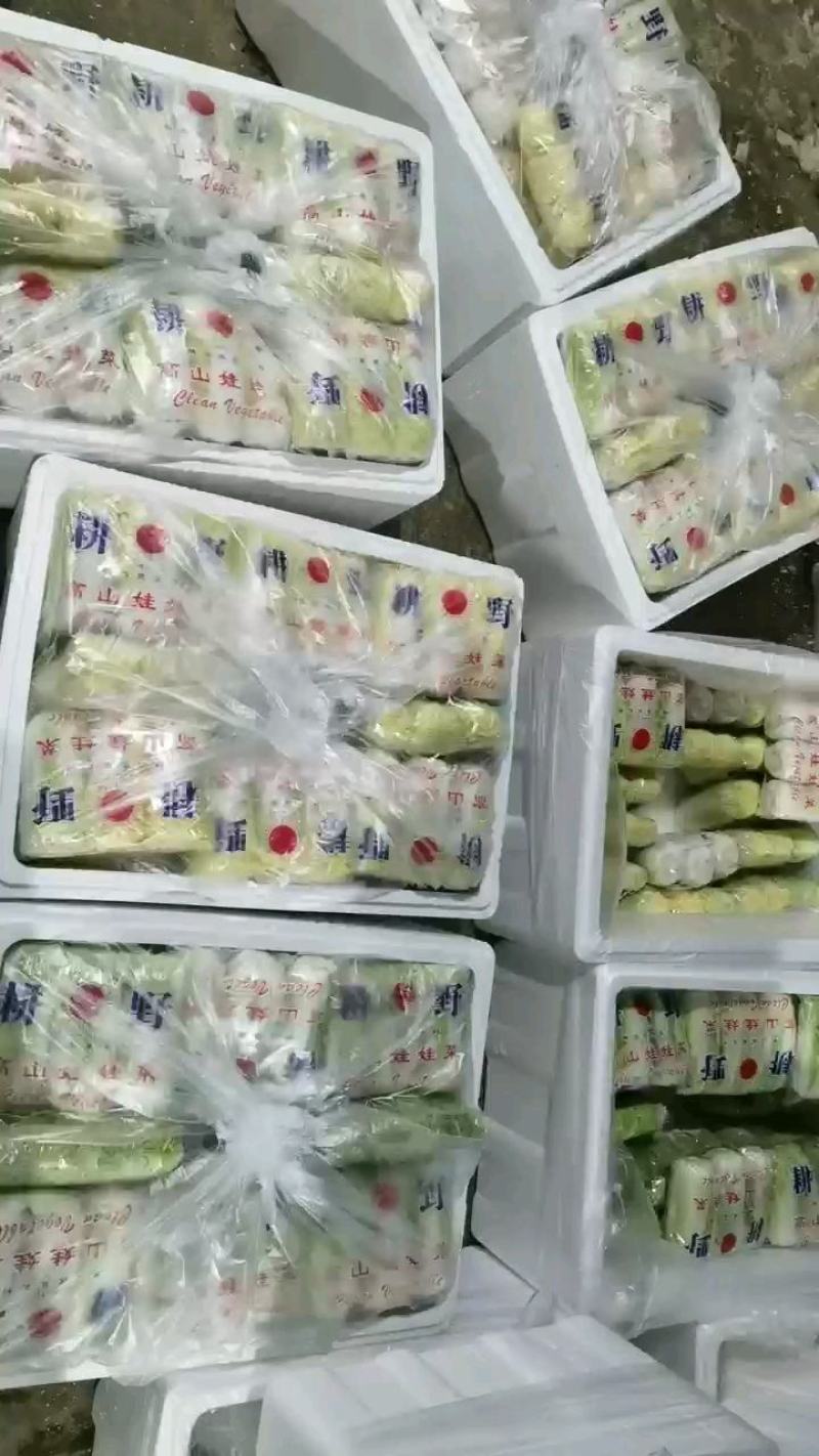 娃娃菜