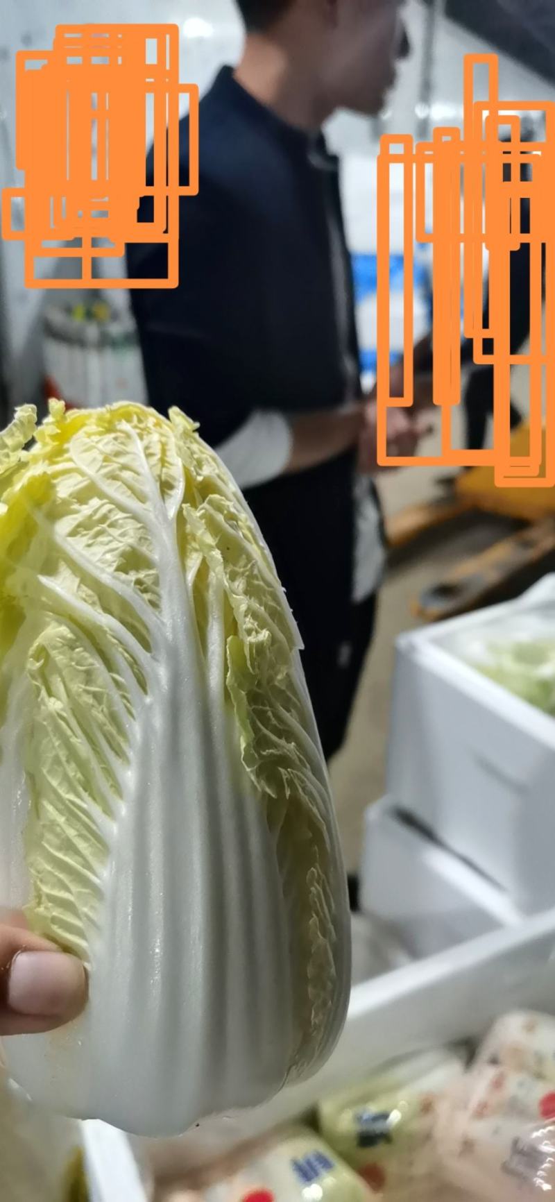 娃娃菜