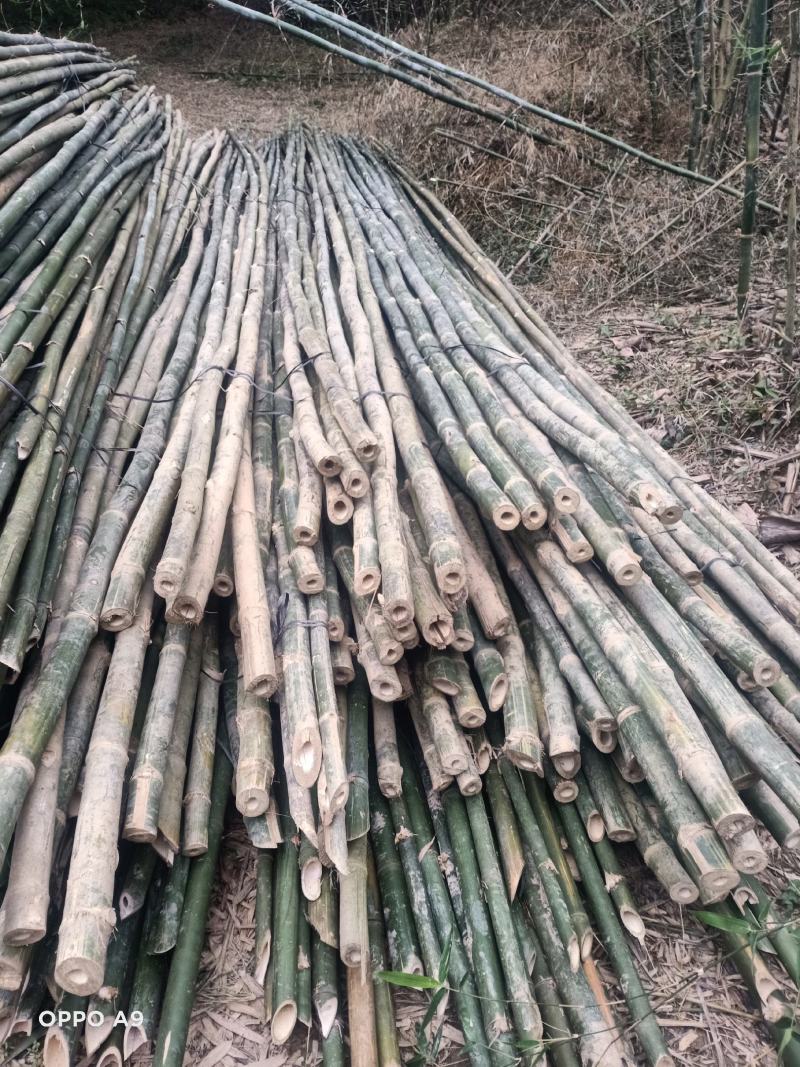 建筑材料搭架子竹子条竹