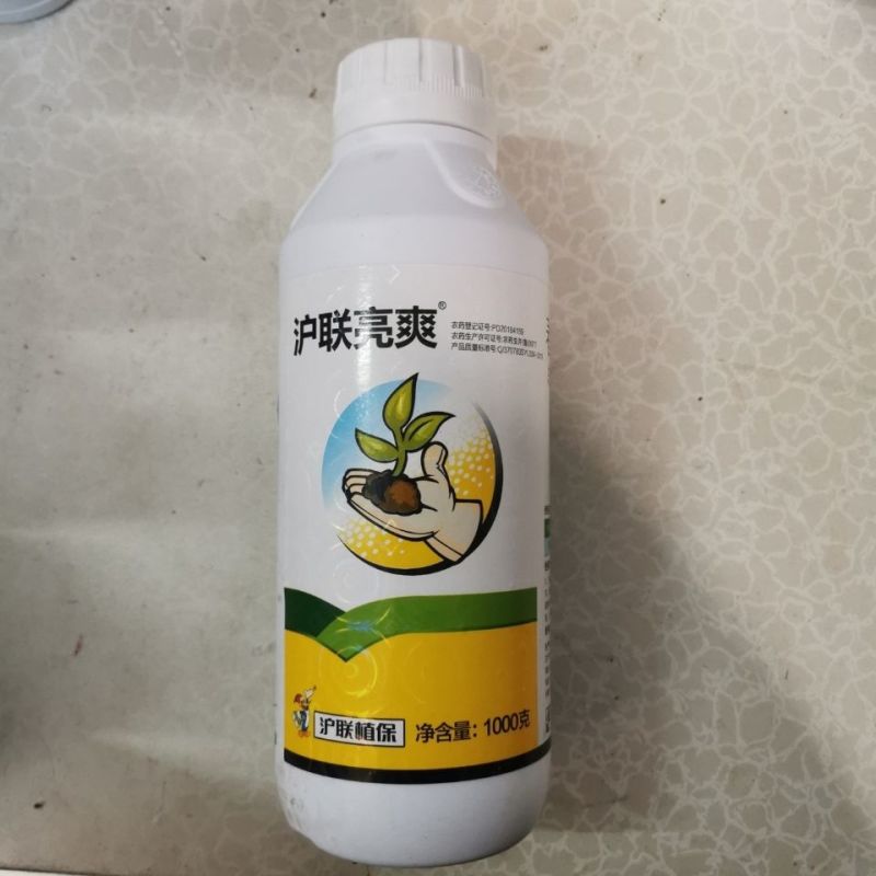 沪联亮爽33%春雷喹啉铜溃疡细菌性角斑病青枯软腐疮痂流胶