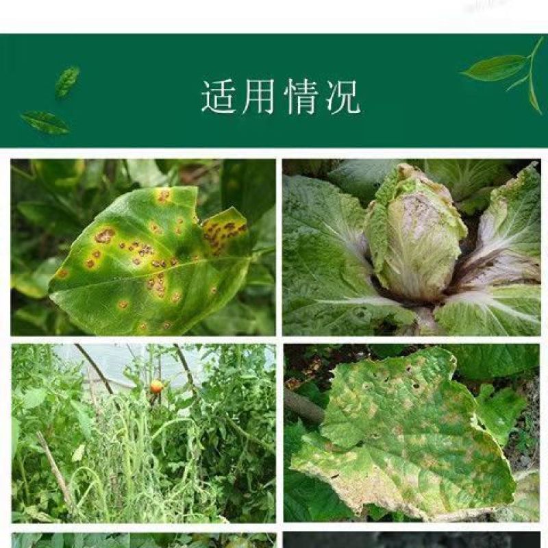 沪联亮爽33%春雷喹啉铜溃疡细菌性角斑病青枯软腐疮痂流胶