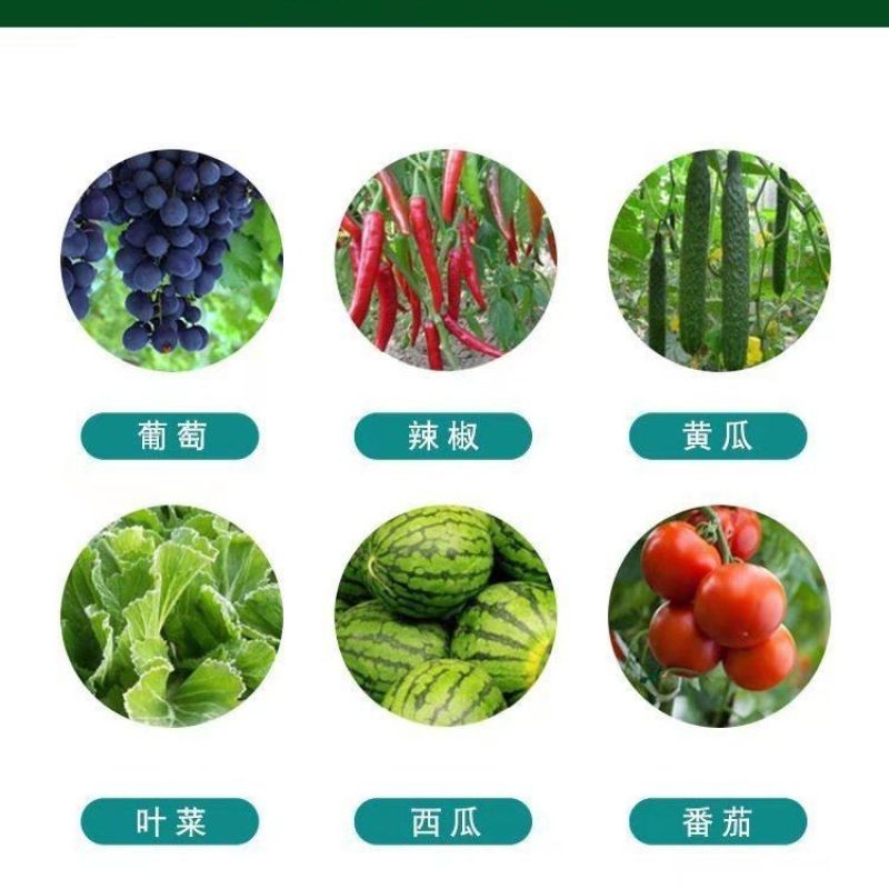 沪联亮爽33%春雷喹啉铜溃疡细菌性角斑病青枯软腐疮痂流胶