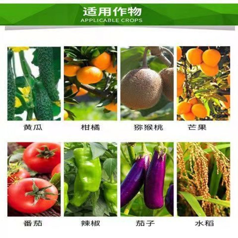 沪联亮爽33%春雷喹啉铜溃疡细菌性角斑病青枯软腐疮痂流胶