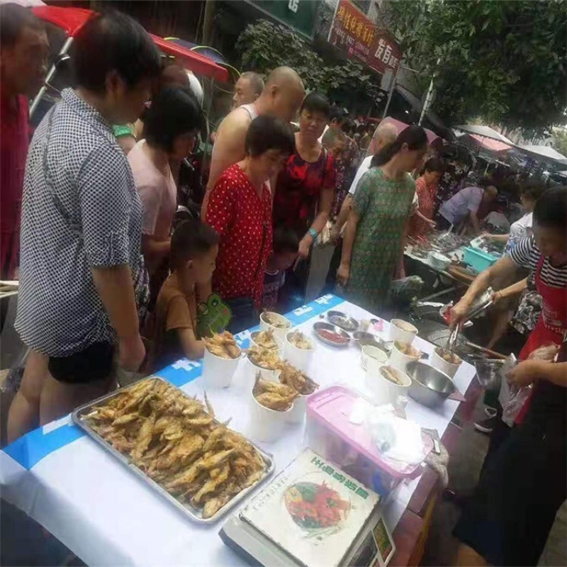 猫猫鱼半成品小鱼干江湖地摊热卖产品休闲零食10元模式