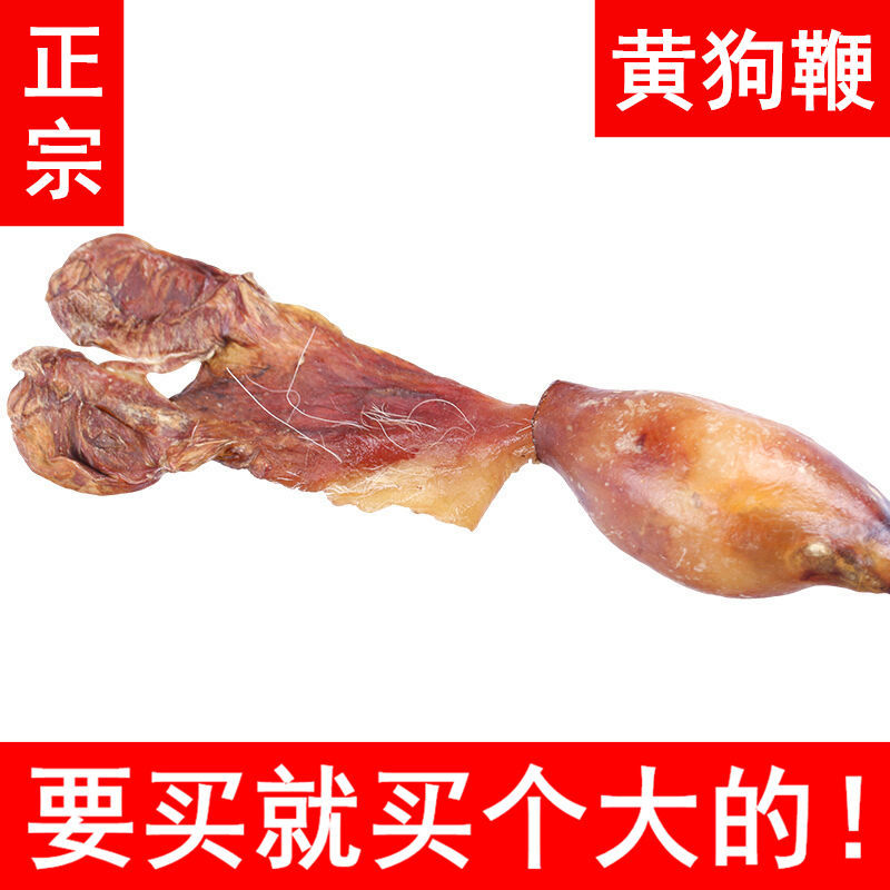 中药材黄狗鞭黄狗肾黑狗鞭新鲜干鞭狗鞭量大从优