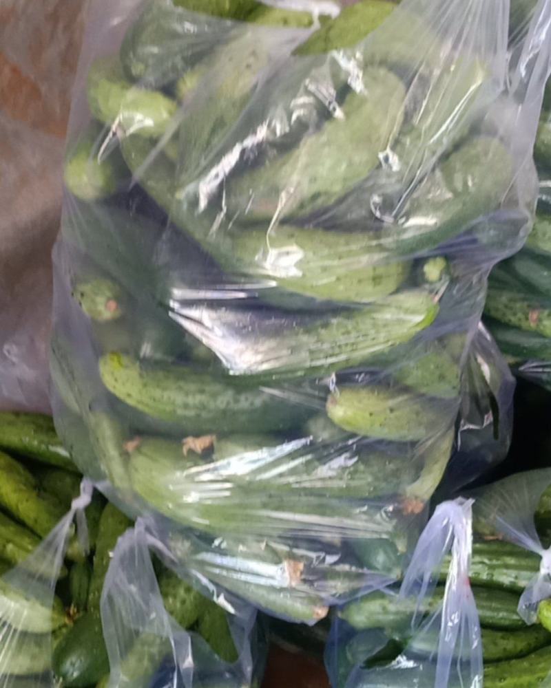 精品黄瓜头子大小都有