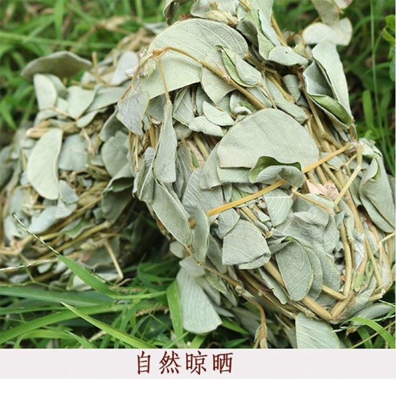 正品新货金钱草广西正宗金钱草中草药金钱草有各种