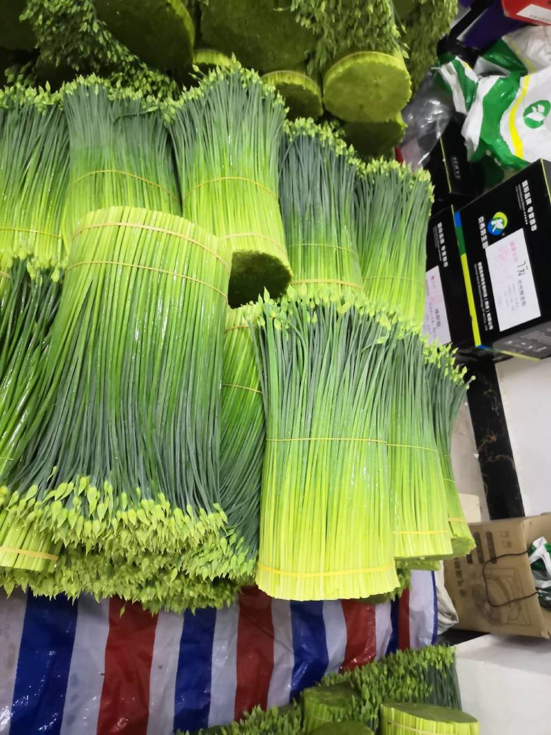 苔小哥韭菜花